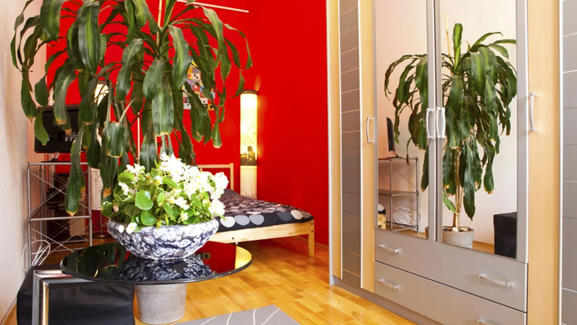 Souper Apartments Downtown-Kiraly Street Budapeszt Węgry